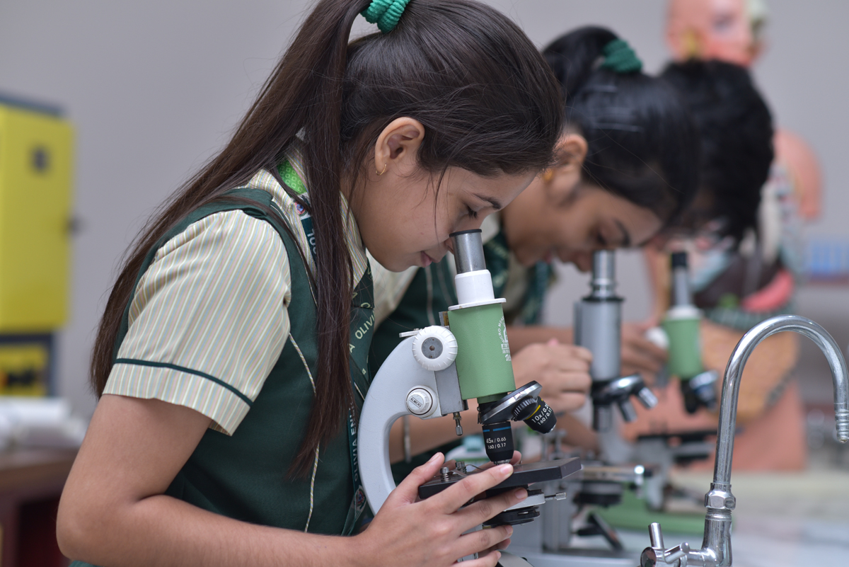 Olivia School Laboratory